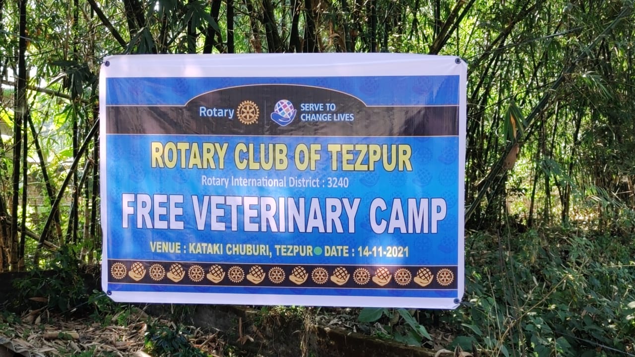 Veterinary Camp